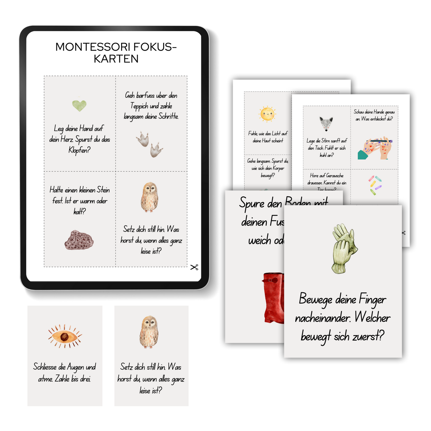 Montessori Fokus-Karten