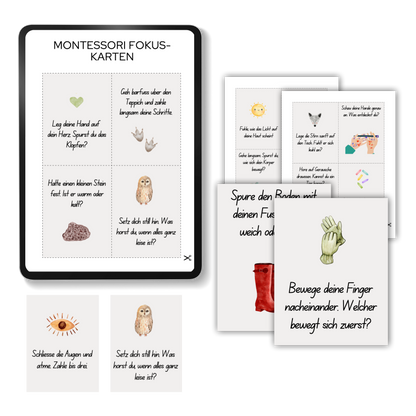 Montessori Fokus-Karten